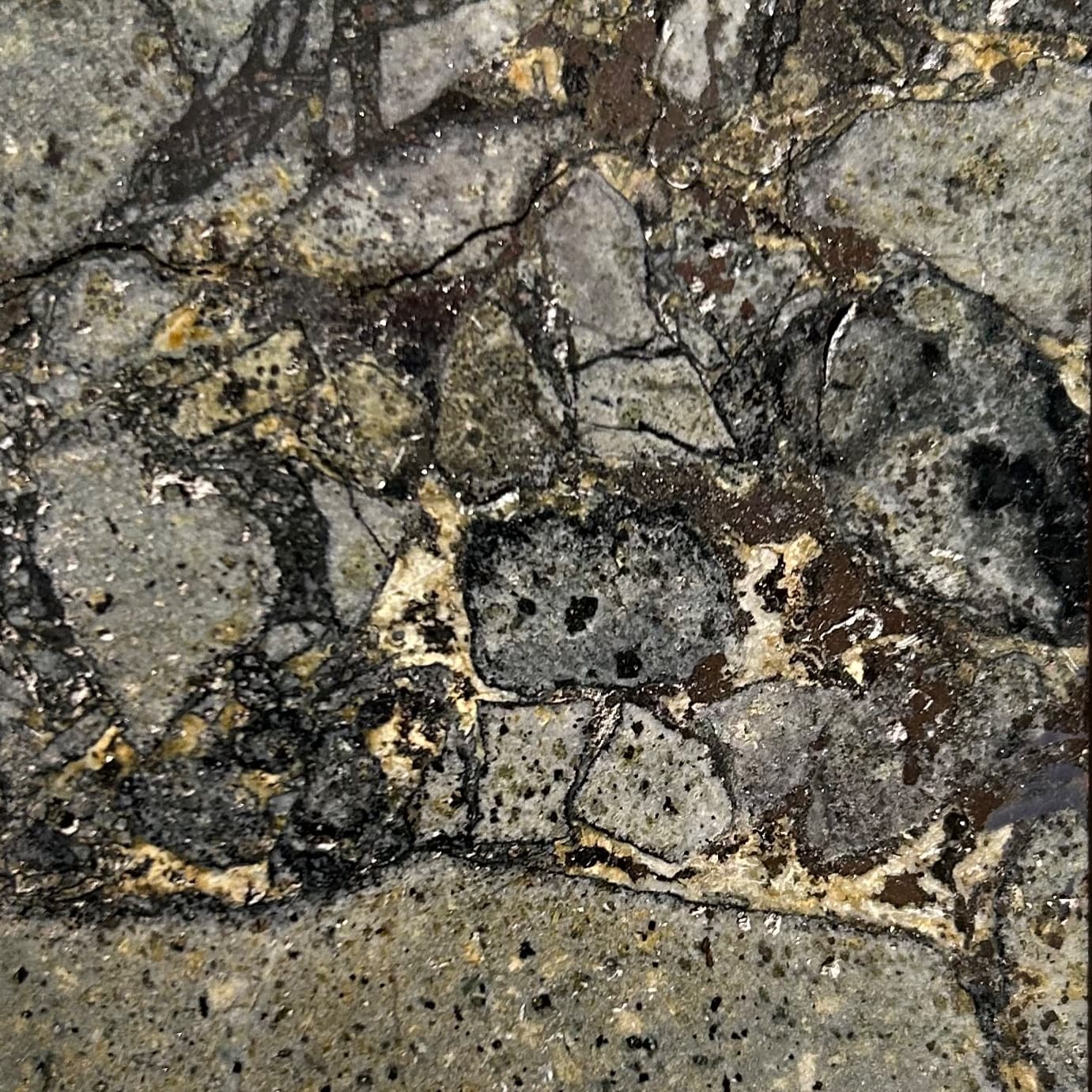 Tourmalinized Breccia